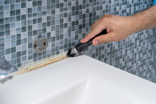 Best Toxic Mold Removal  in Lusby, MD