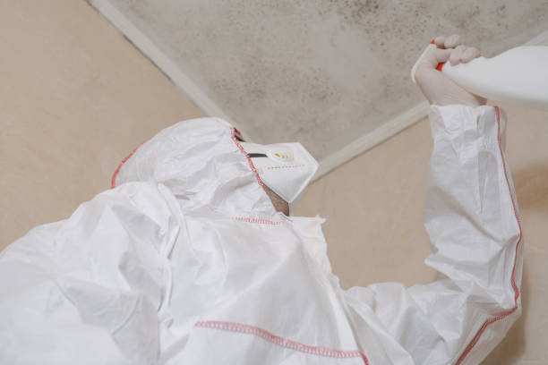 Best Attic Mold Removal  in Lusby, MD